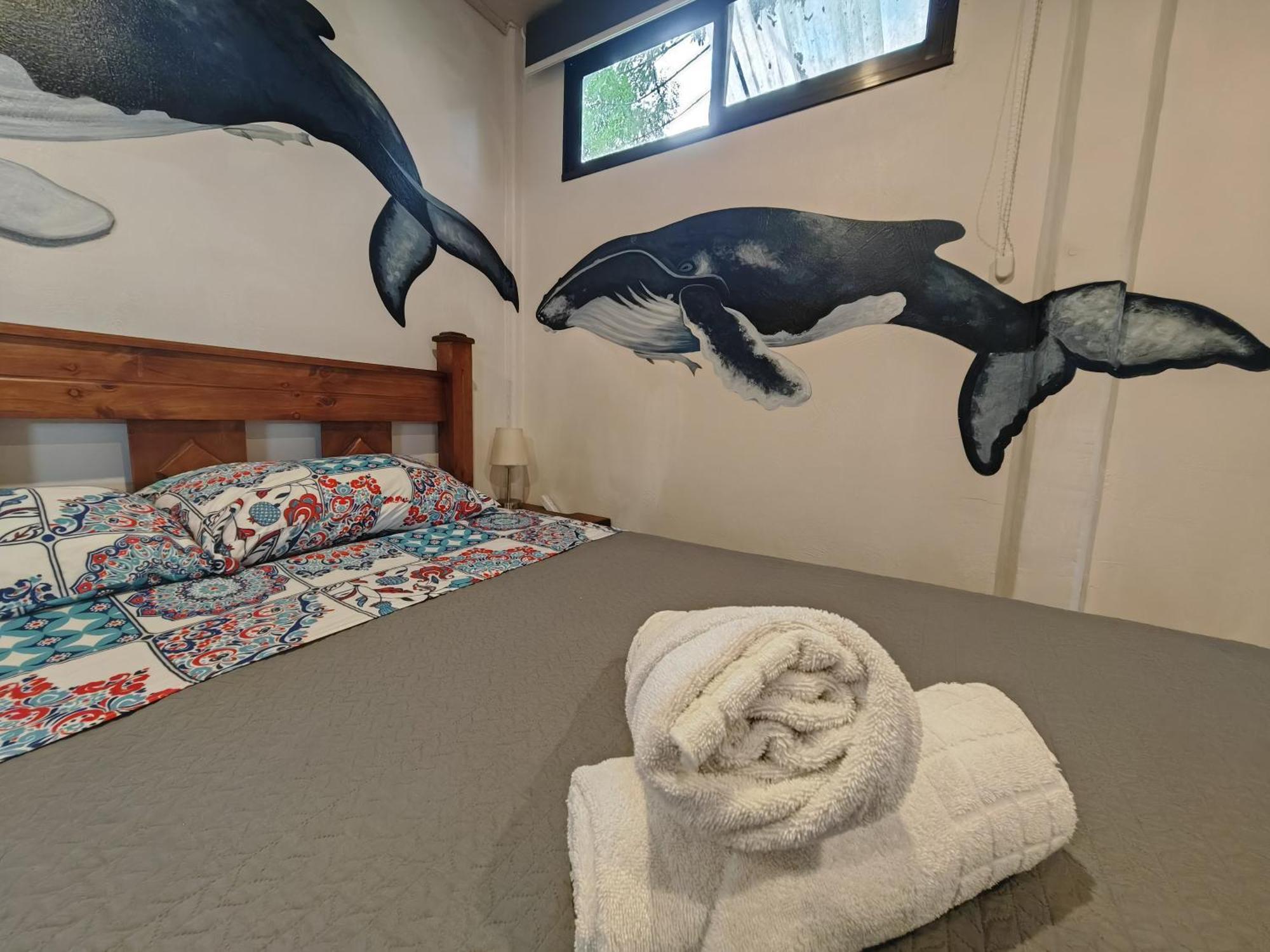 Tucan Hotel Uvita Oda fotoğraf