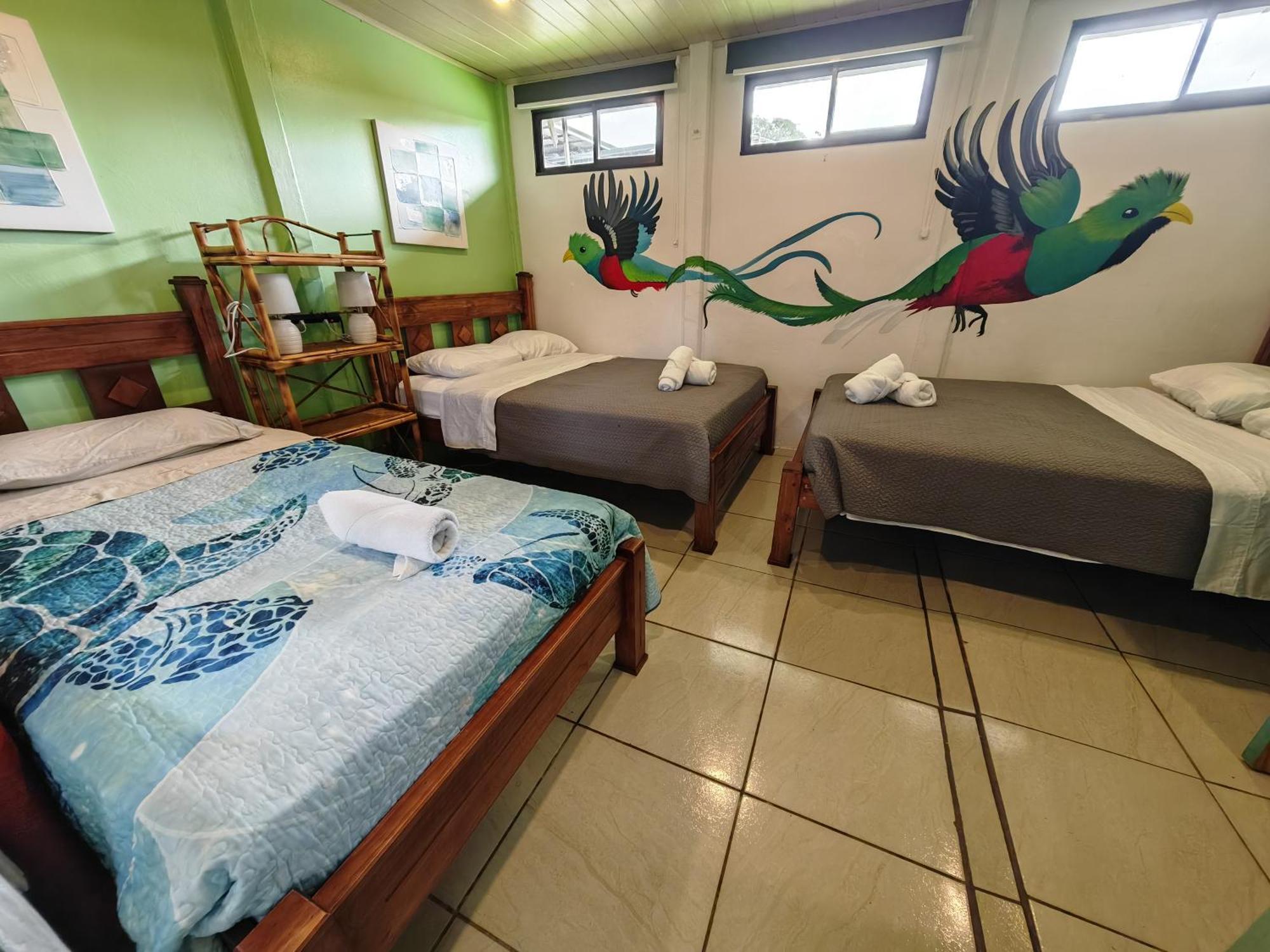 Tucan Hotel Uvita Oda fotoğraf