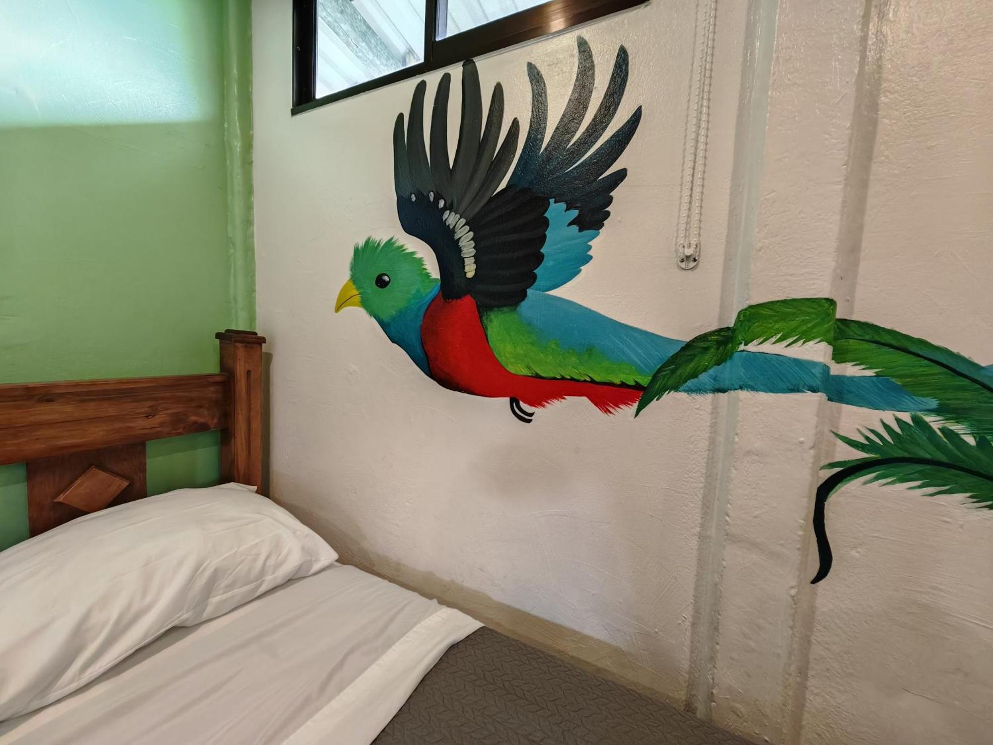 Tucan Hotel Uvita Oda fotoğraf