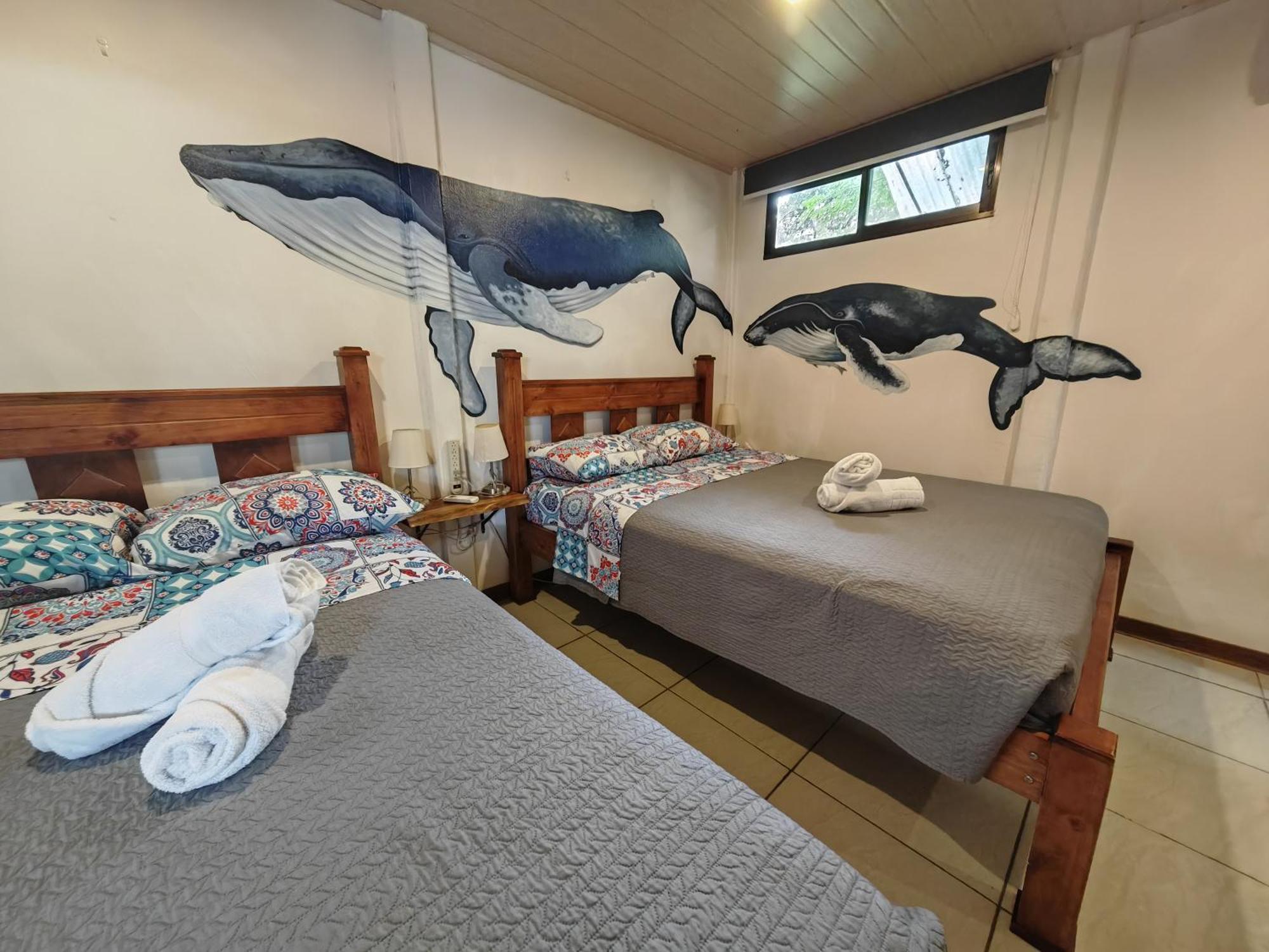 Tucan Hotel Uvita Oda fotoğraf